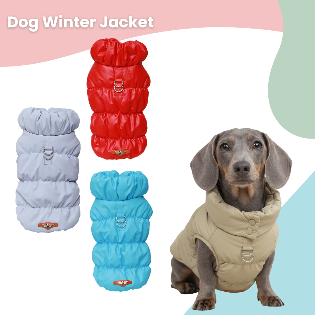 Dog Winter Jacket Cozy & Stylish