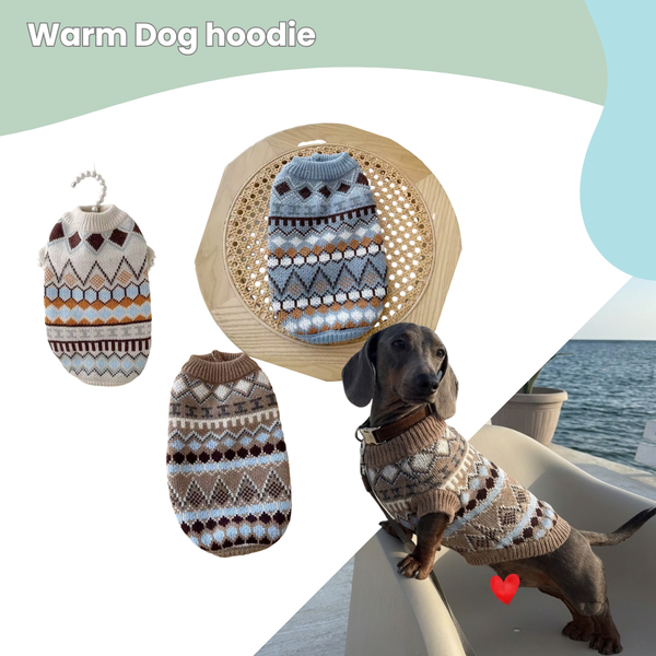 Warm Cozy Winter Hoodie