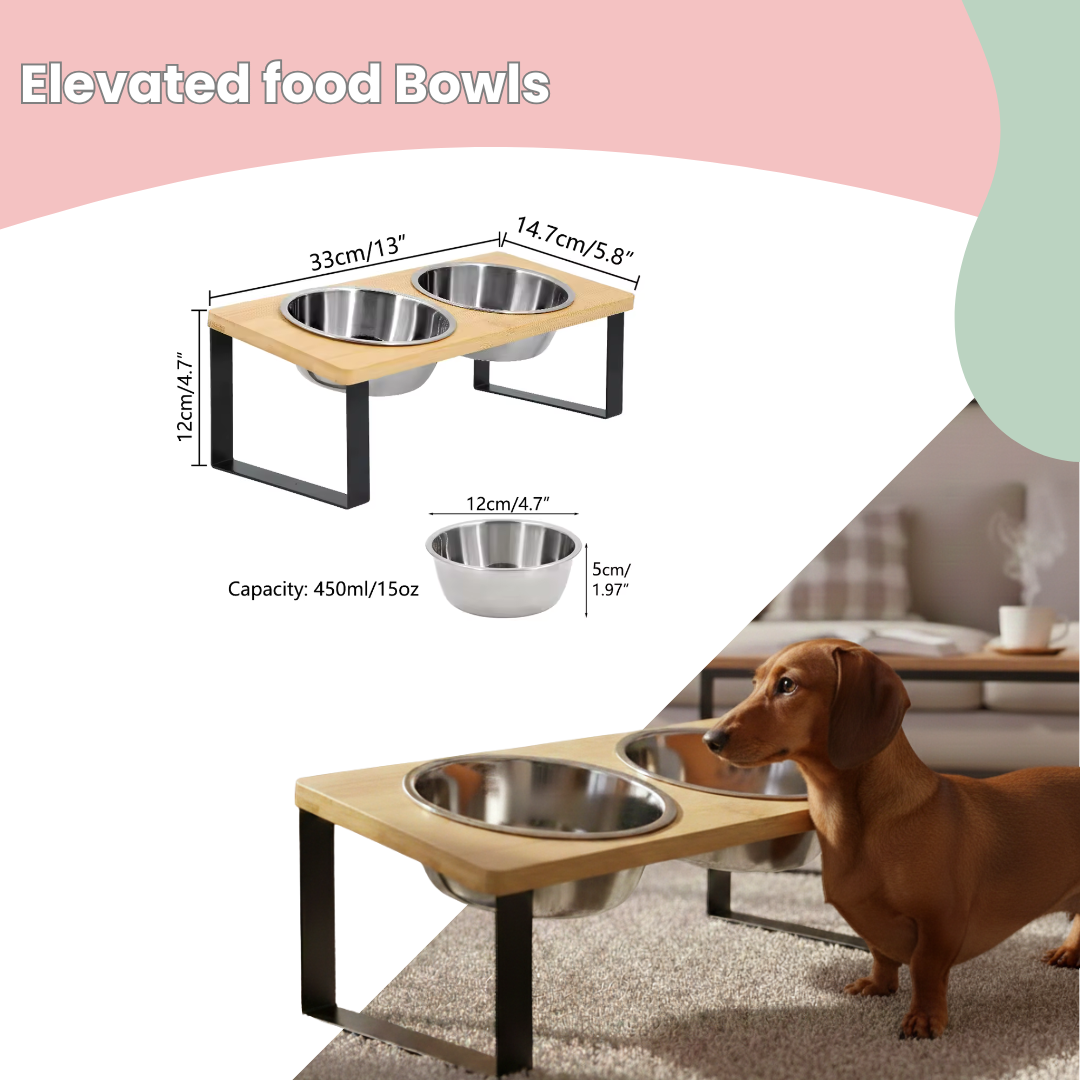 Elevated Food Stanley Steel Bowls