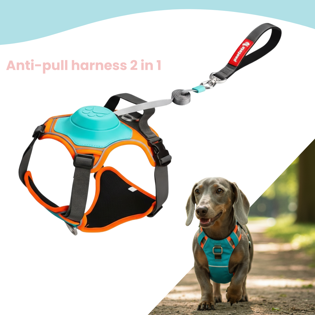 Anti-Pull Harness 3in1