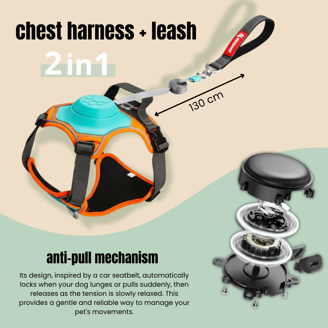 Anti-Pull Harness 3in1