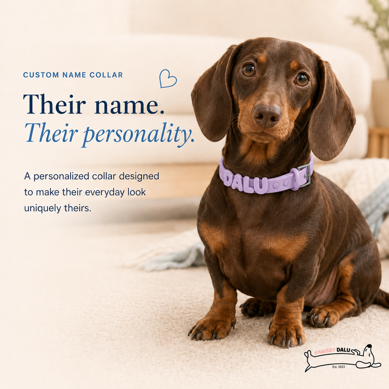 DIY Name Collar for Dogs