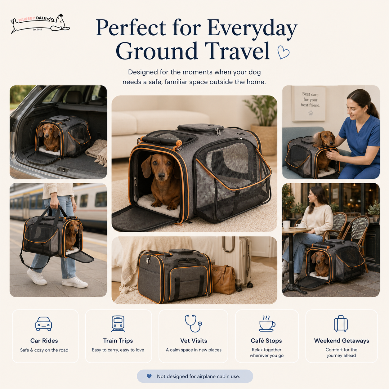 DALU Everyday Travel Carrier