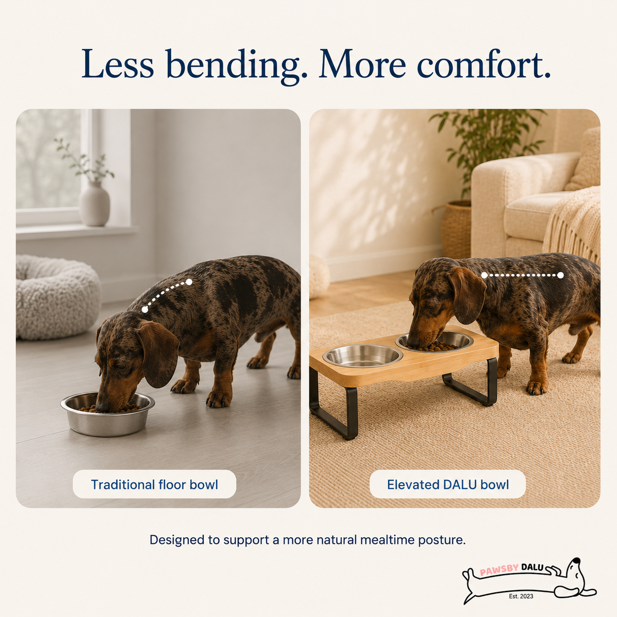 Dalu™  Elevated Food Stanley Steel Bowls