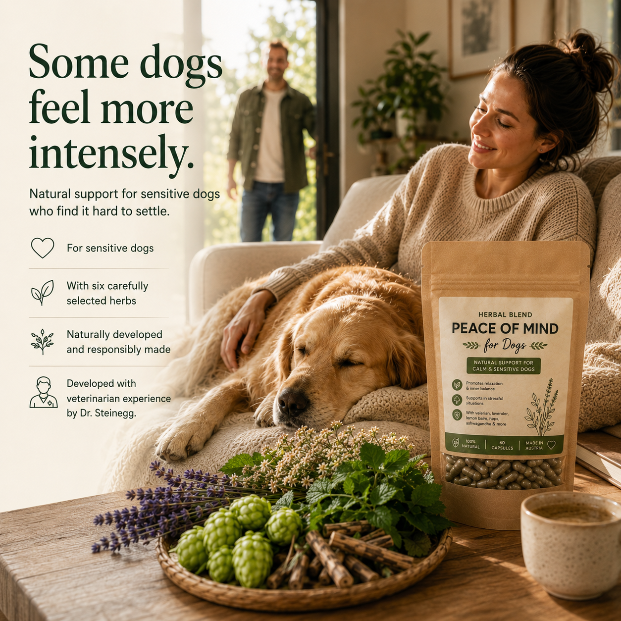 Peace of Mind Capsules — Natural Calm for Sensitive Dogs