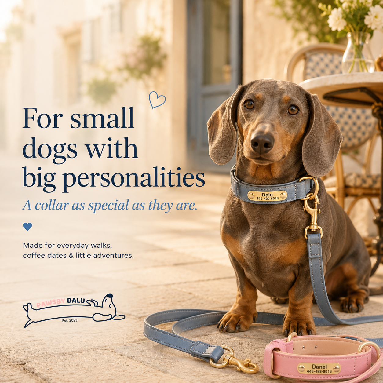 Personalized Dog Collar with Nameplate & Matching Leash