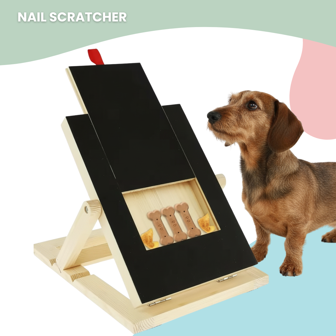 Nail scratcher/ Pedi-Paws